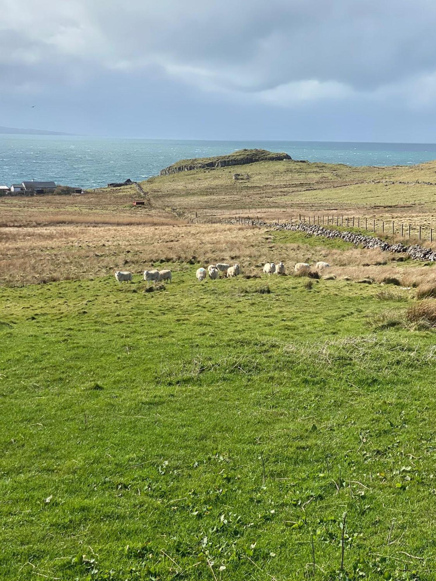 Cnoc Ruaraidh Cottage Kilmuir  Exterior foto